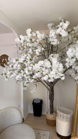 LOCAL COMMERCIAL 33 M²