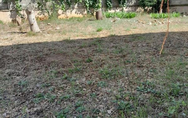 Vente Terrain Au calme Frontignan