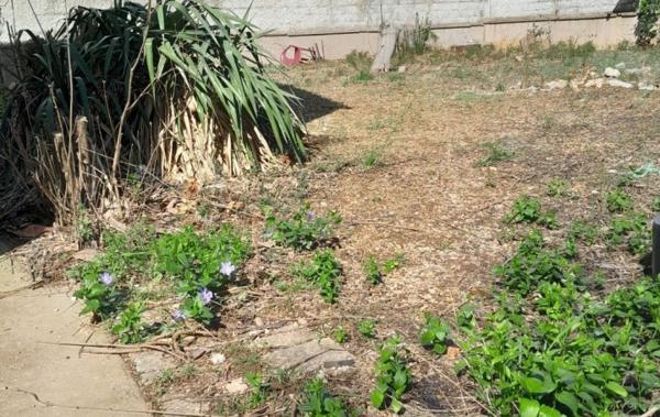 Vente Terrain Au calme Frontignan