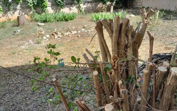 Vente Terrain Au calme Frontignan