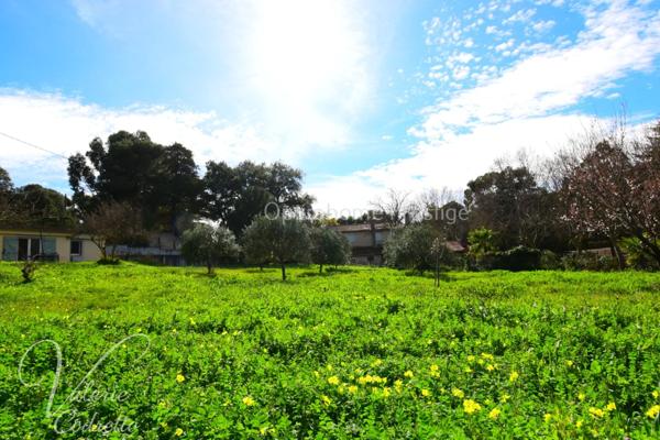 Le Pradet Oursinières – Propriété vue mer 320 m² avec appartements indépendants, plage à pied sur 3048 m² de terrain clôturé