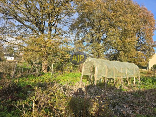 Vente maison Guemene Penfao : 293 300 € - AJP By Marie