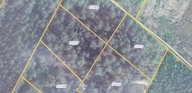 Bois à vendre à Brette-les-Pins dans la Sarthe (72250), ref : 72119-1467 Bois à vendre à Brette-les-Pins dans la Sarthe (72250), ref : 72119-1467 Bois à vendre à Brette-les-Pins dans la Sarthe (72250), ref : 72119-1467