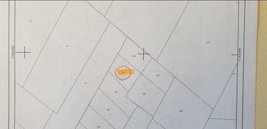 Bois à vendre à Brette-les-Pins dans la Sarthe (72250), ref : 72119-1467 Bois à vendre à Brette-les-Pins dans la Sarthe (72250), ref : 72119-1467 Bois à vendre à Brette-les-Pins dans la Sarthe (72250), ref : 72119-1467