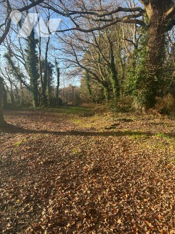 Queven, maison en pierre 144 m2 , 1450 m2 de jardin