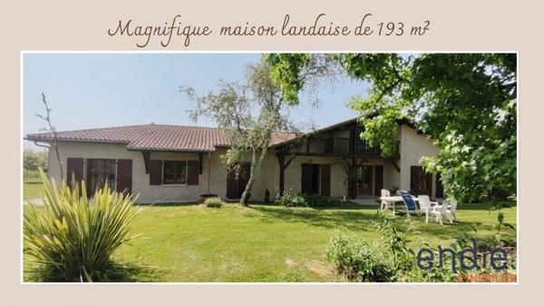 Authentique maison landaise de 193 m² sur un magnifique terrain arboré et entièrement clos de 2 000 m² à Saint-Sever