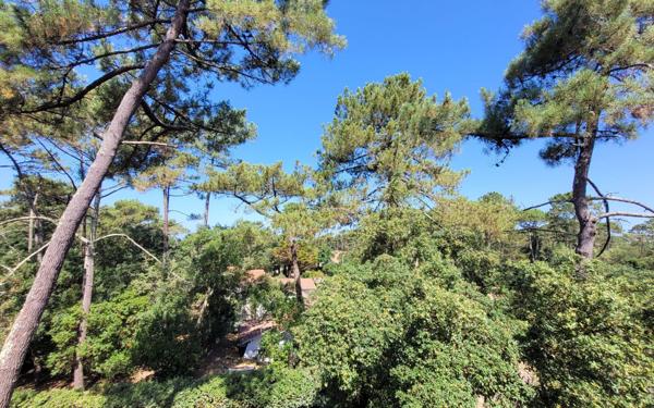 Appartement à vendre    2 pièces • 42 m2 Seignosse