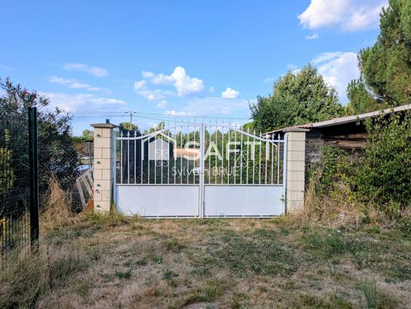 Terrain plat et arboré