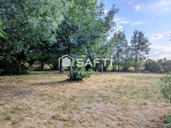 Terrain plat et arboré