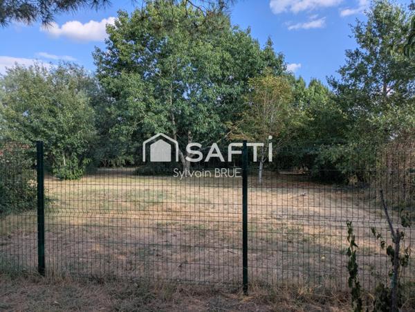 Terrain plat et arboré