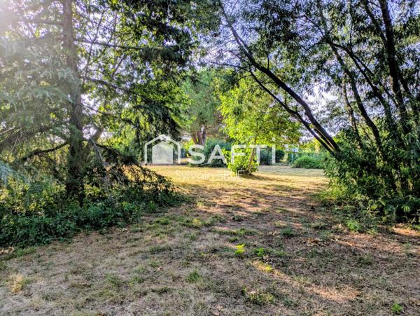 Terrain plat et arboré