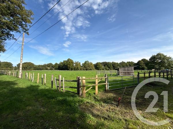 Maison à vendre  5 pièces - 166,08 m2 RUAUDIN - 72