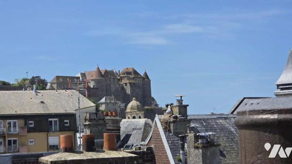 APPARTEMENT DE CHARME EN DUPLEX AVEC VUE SUR LE CHATEAU ET LE CENTRE HISTORIQUE
