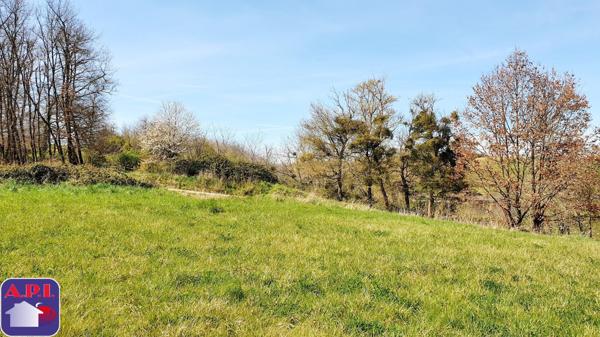 Achat vente Terrain Saverdun