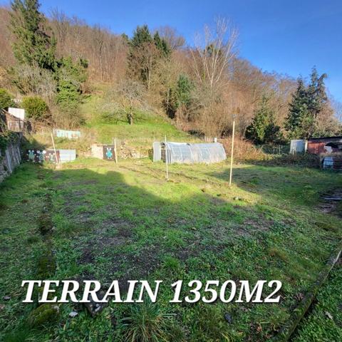 Maison à vendre 7 pièces + combles RAON L'ETAPE (88)