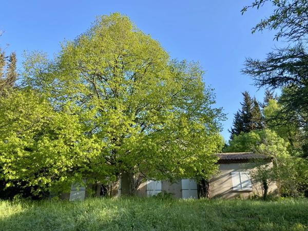 Villa d’exception à rénover – Parc arboré de 3 906 m² – Clapiers