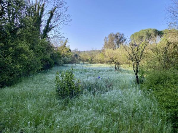 Villa d’exception à rénover – Parc arboré de 3 906 m² – Clapiers