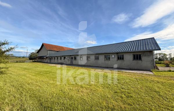 Fonds De Commerce de 2 312 m²