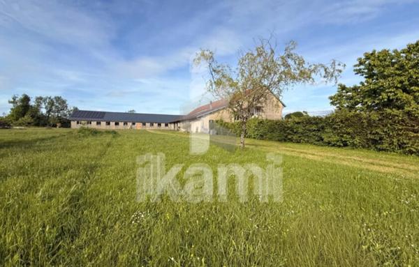 Fonds De Commerce de 2 312 m²