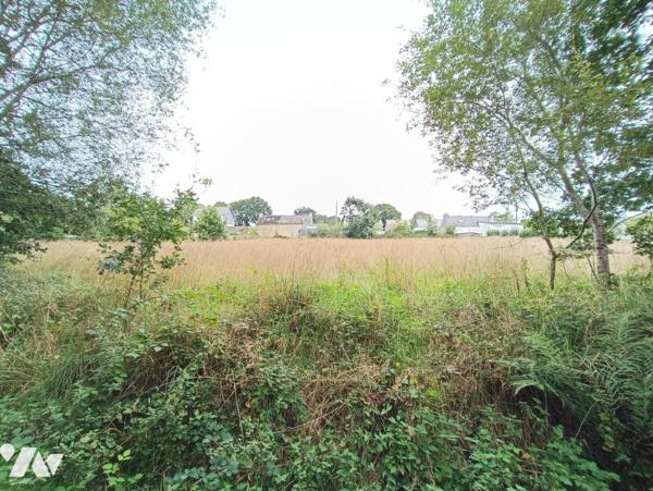 CLEGUEREC (56) Prairie