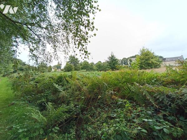 CLEGUEREC (56) Prairie