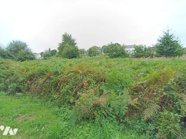 CLEGUEREC (56) Prairie