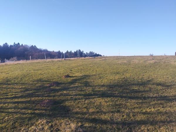 Terrain à vendre |  Tulle |  3000 m²