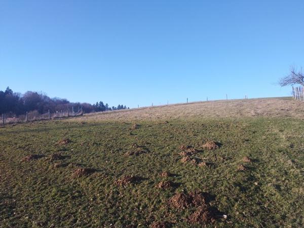 Terrain à vendre |  Tulle |  3000 m²