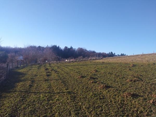 Terrain à vendre |  Tulle |  3000 m²