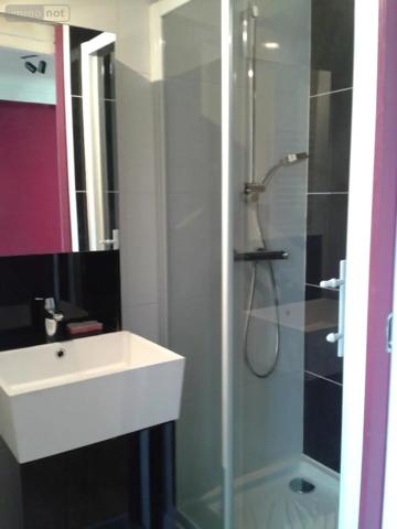 Location - Appartement Nantes 44000 1 pièce 17 m 2