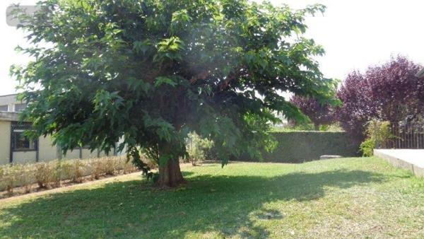 Maison individuelle à louer à Mer dans le Loir-et-Cher (41500), ref : 41022/867
