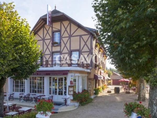 Vente Maison 20 pièces de 1000m² - 18100 Vierzon