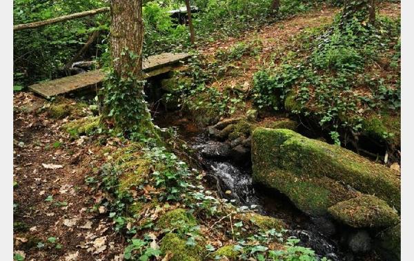 Vente Maison Cognac-la-foret   