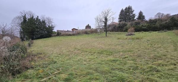 Vente / Terrain constructible