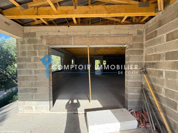Terrain