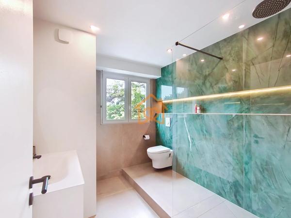 Bel appartement Schiltigheim. Quartier brasseur. CLIMATISE. REFAIT à neuf !