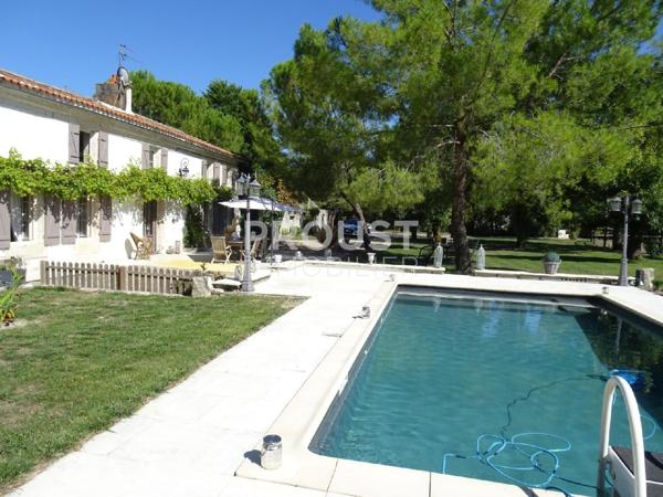 magnifique maison en pierre avec 5 chambres, piscine, terrain de 7600 m². secteur sud de niort.