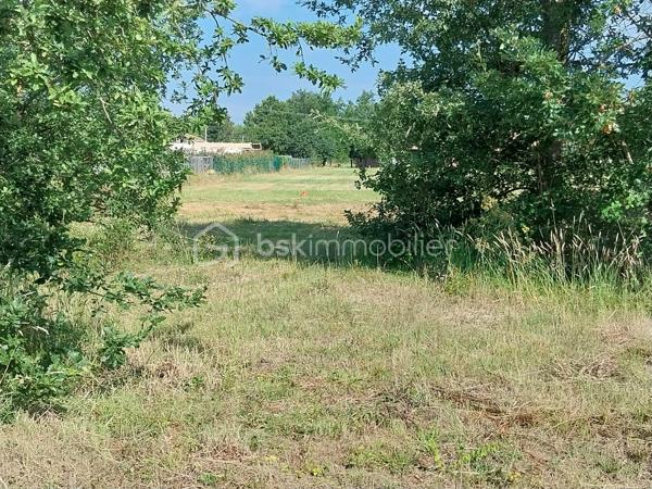 Lotissement de 709 m²