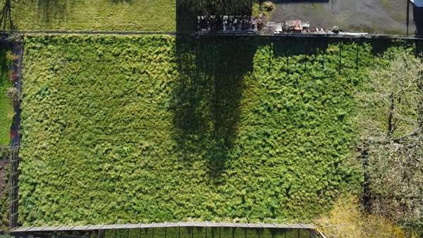 TERRAIN CONSTRUCTIBLE 849 m² au coeur de Saint-Méen-le-Grand