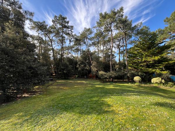 Terrain Saint Vincent Sur Jard 474 m2