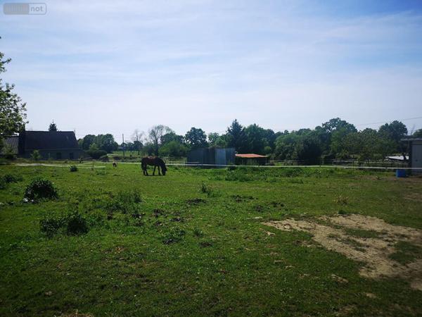 Terrain à Batir à vendre à Le Val-Saint-Père dans la Manche (50300), ref : TA491