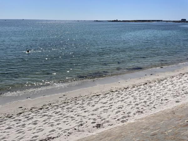 Penmarch (29760) Magnifique maison avec vue Mer à Penmarch a vendre .