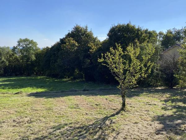 SAINTE-FOY-LÈS-LYON - Terrain viabilisé de 1439 m²