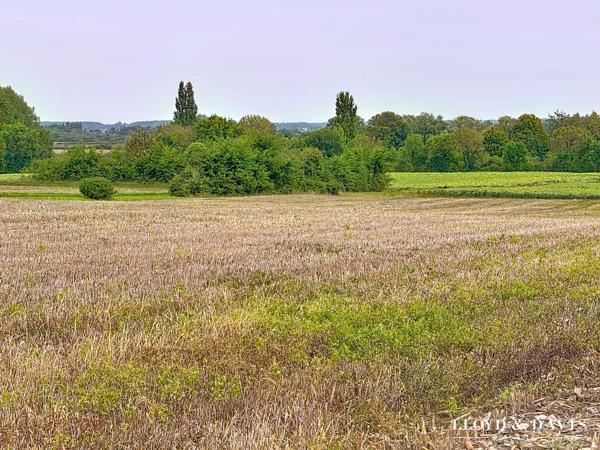 MEDIS : terrain constructible 1513 m²
