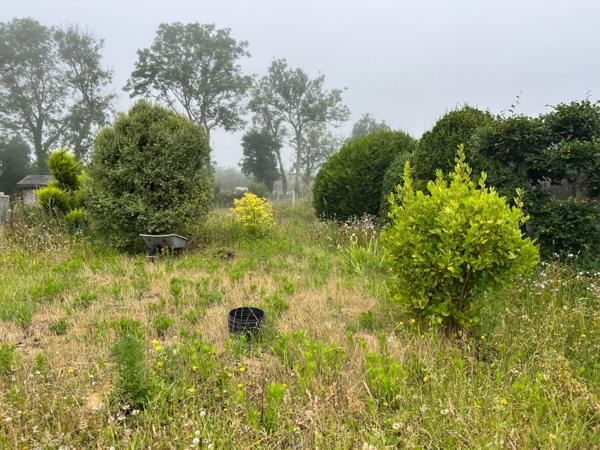 À seulement 5 km de Barneville-Carteret, charmante maison en pierre avec jardin arboré