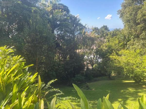 Achat - Maison Fort-de-France 97200 249 m 2 4783 m 2