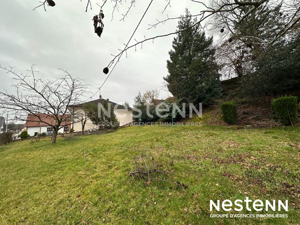 Rare sur le secteur : terrain constructible de 6 ares à Kaltenhouse idéal maison individuelle