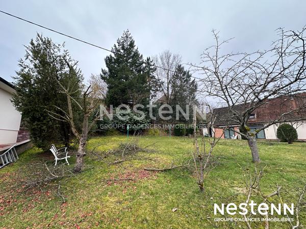 Rare sur le secteur : terrain constructible de 6 ares à Kaltenhouse idéal maison individuelle