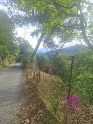 Terrain à vendre    Colomars