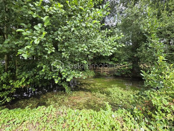 Maison ancienne de 234 m²